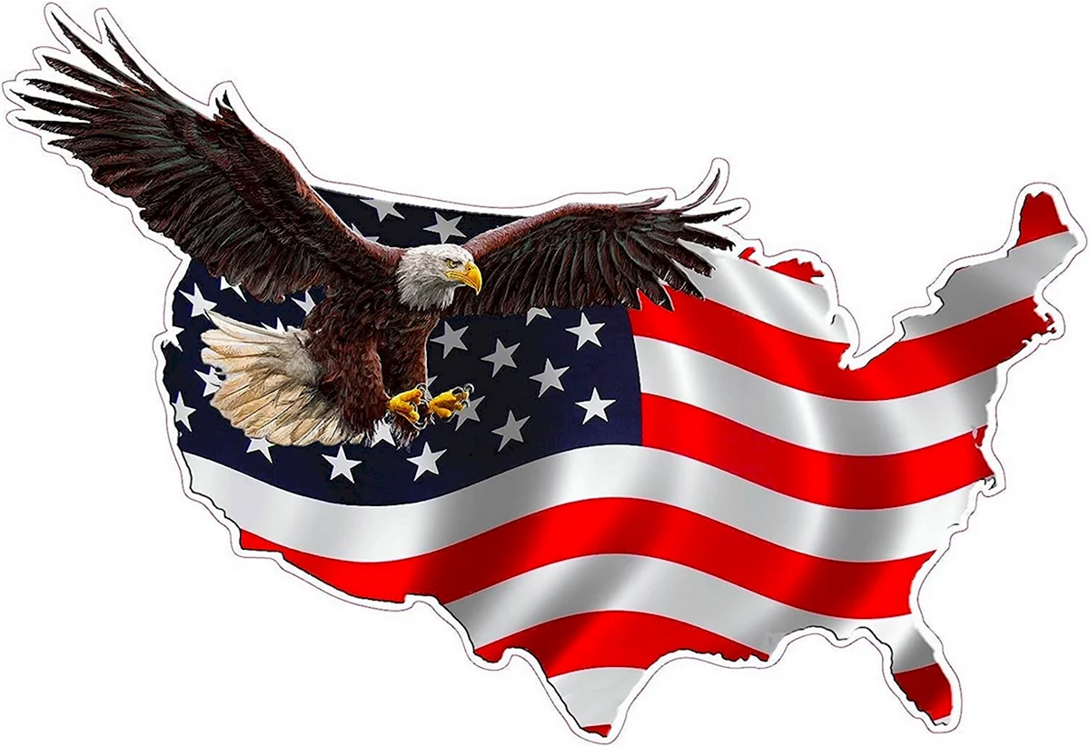 Флаг США С орлом