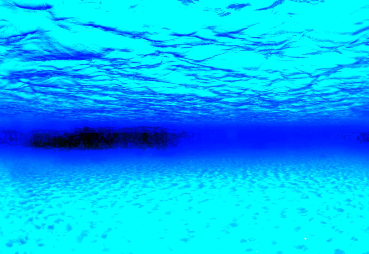 Фон аквариумный Barbus морская Лагуна. Натуральная мистика