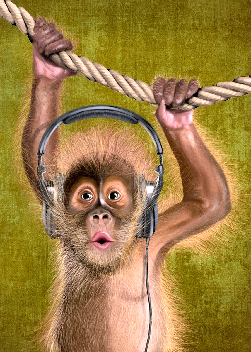 Картина обезьяна в наушниках