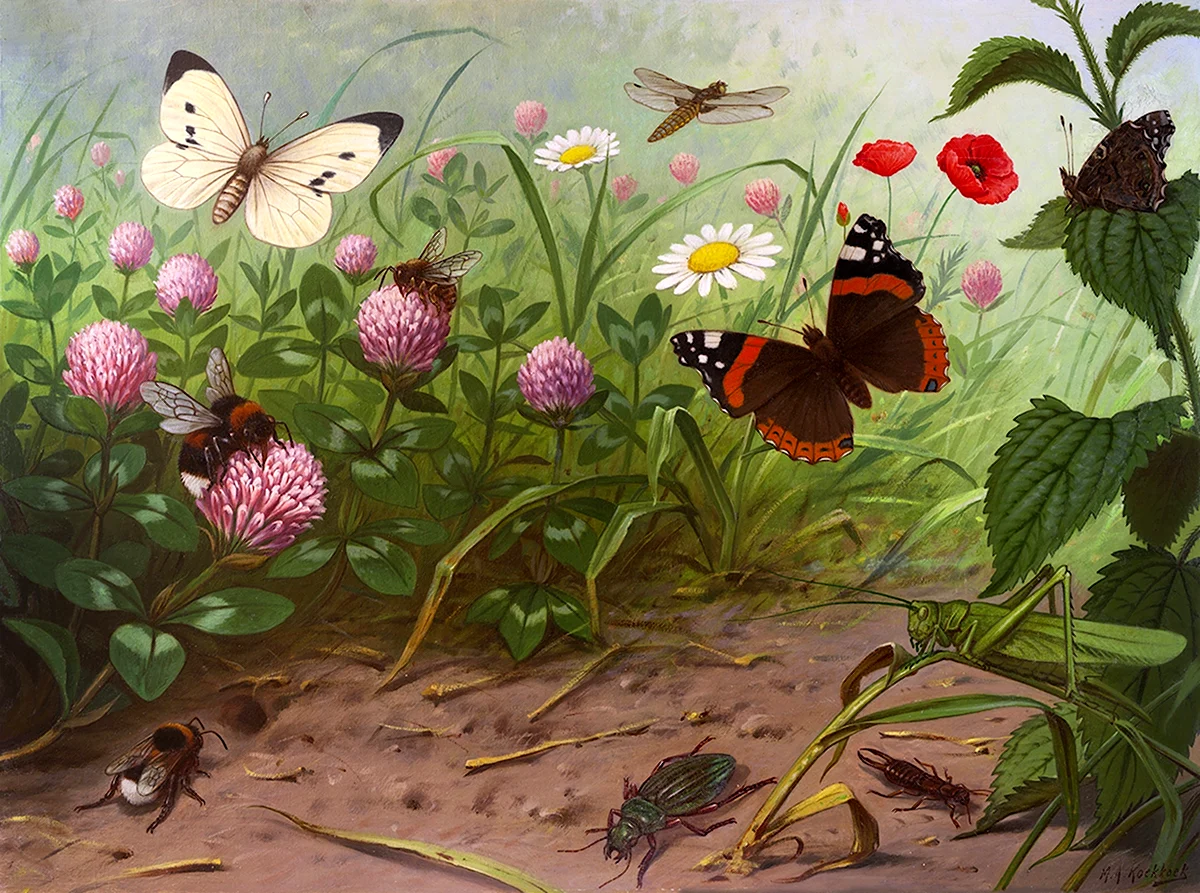 Картина с. к. Артюшенко «насекомые и пауки» Нищева