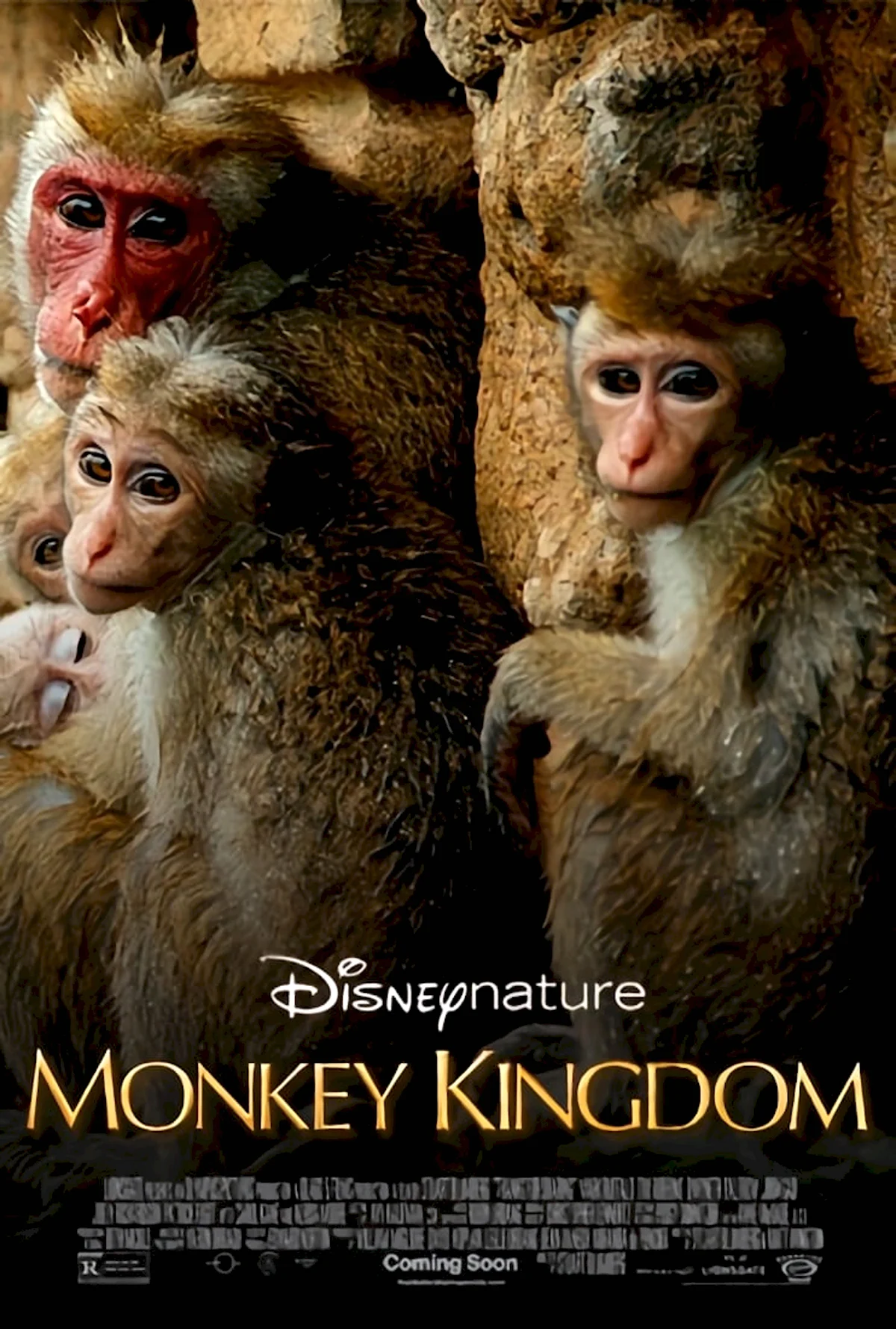 Королевство обезьян фильм 2015