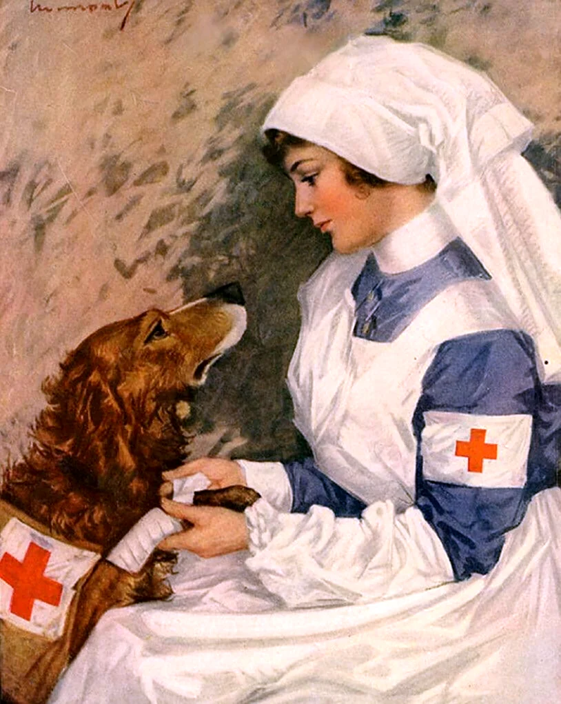 Красный крест медсестры