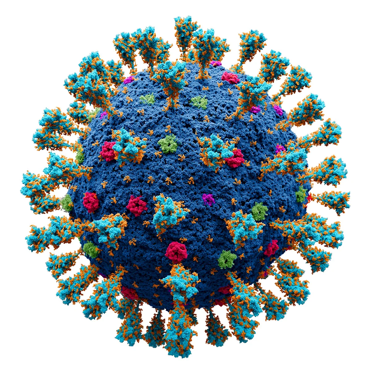Макет вируса коронавируса