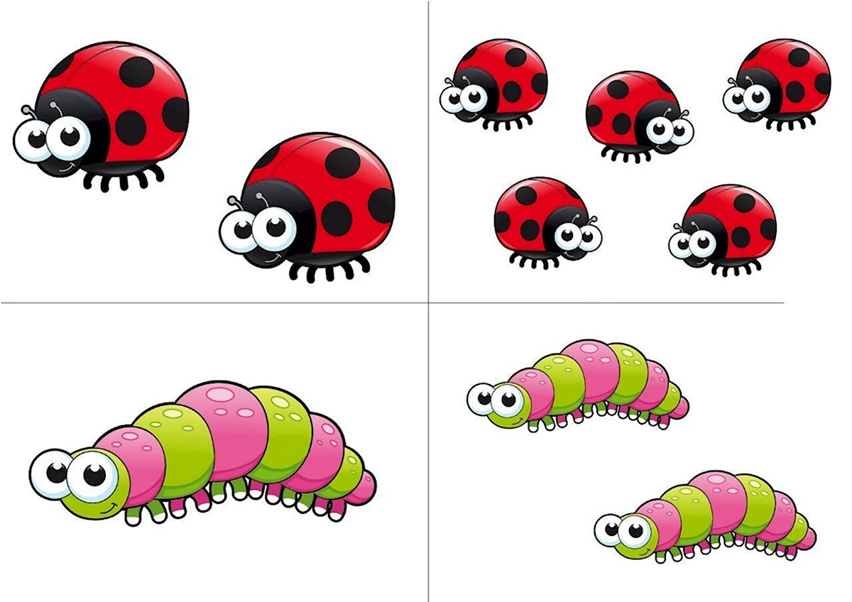 Математические карточки с насекомыми для детей