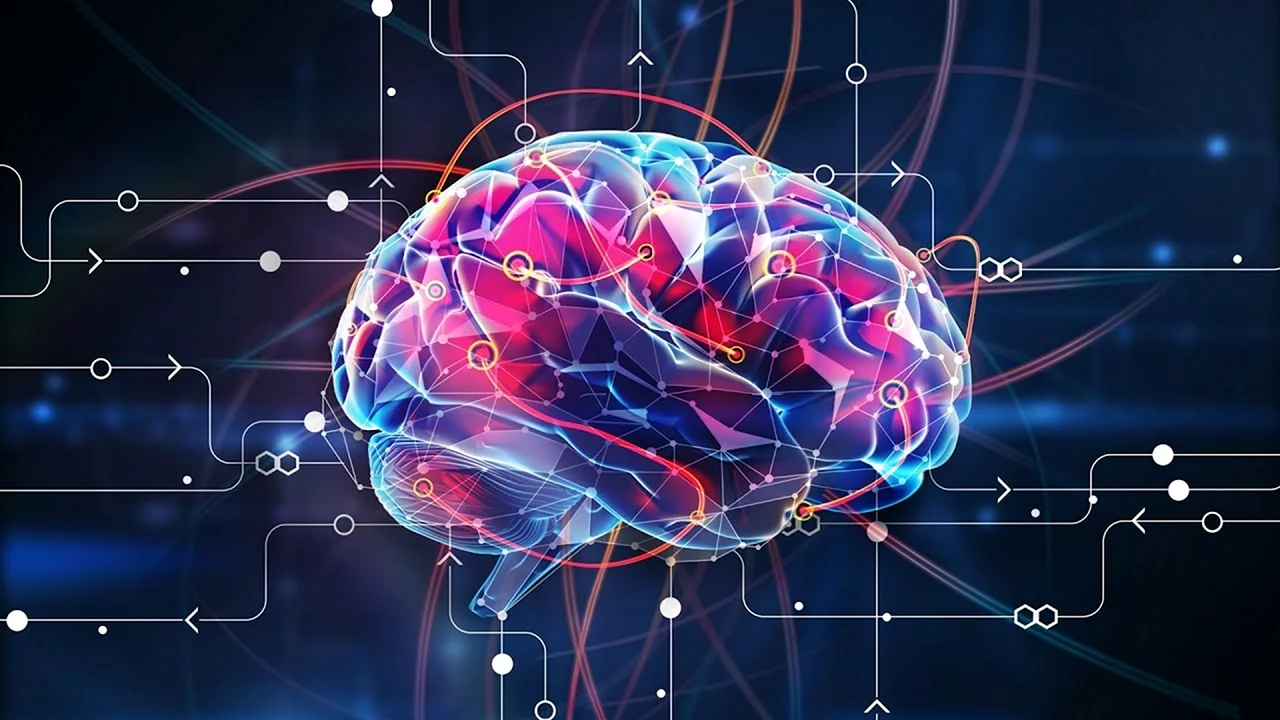 Мозг и информация