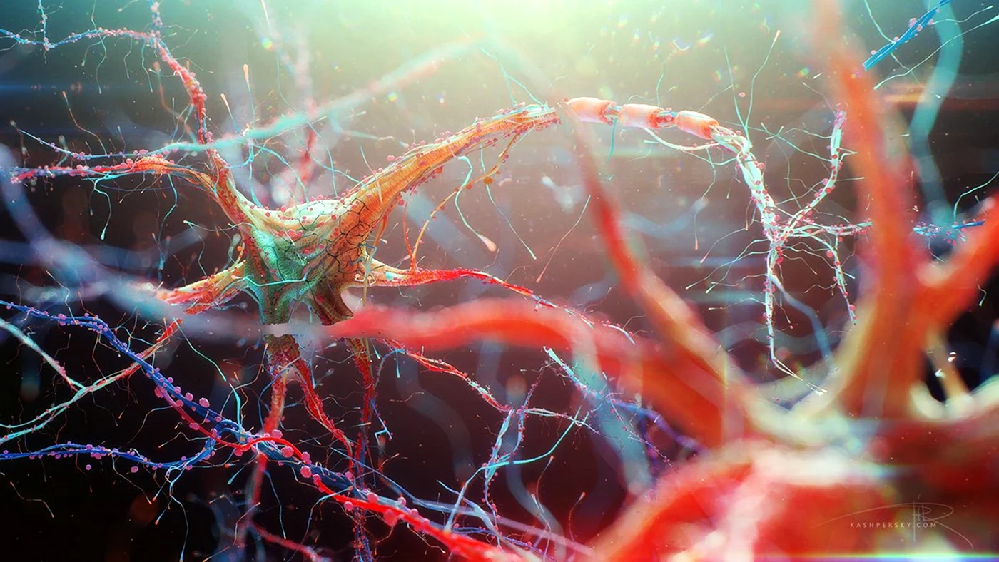 Нейроны головного мозга под микроскопом