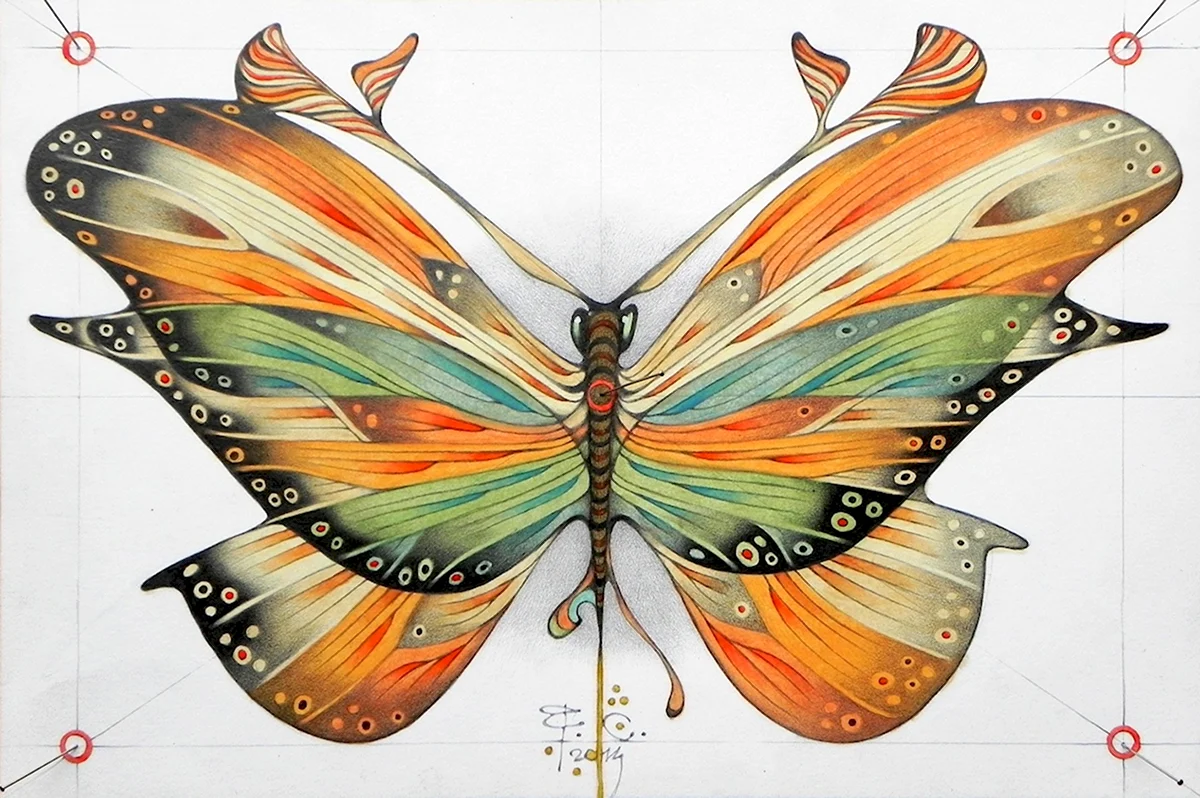 Необычная бабочка рисунок