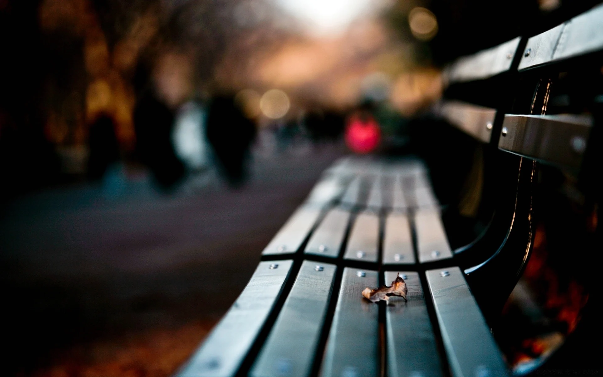 Одиночество на скамейке