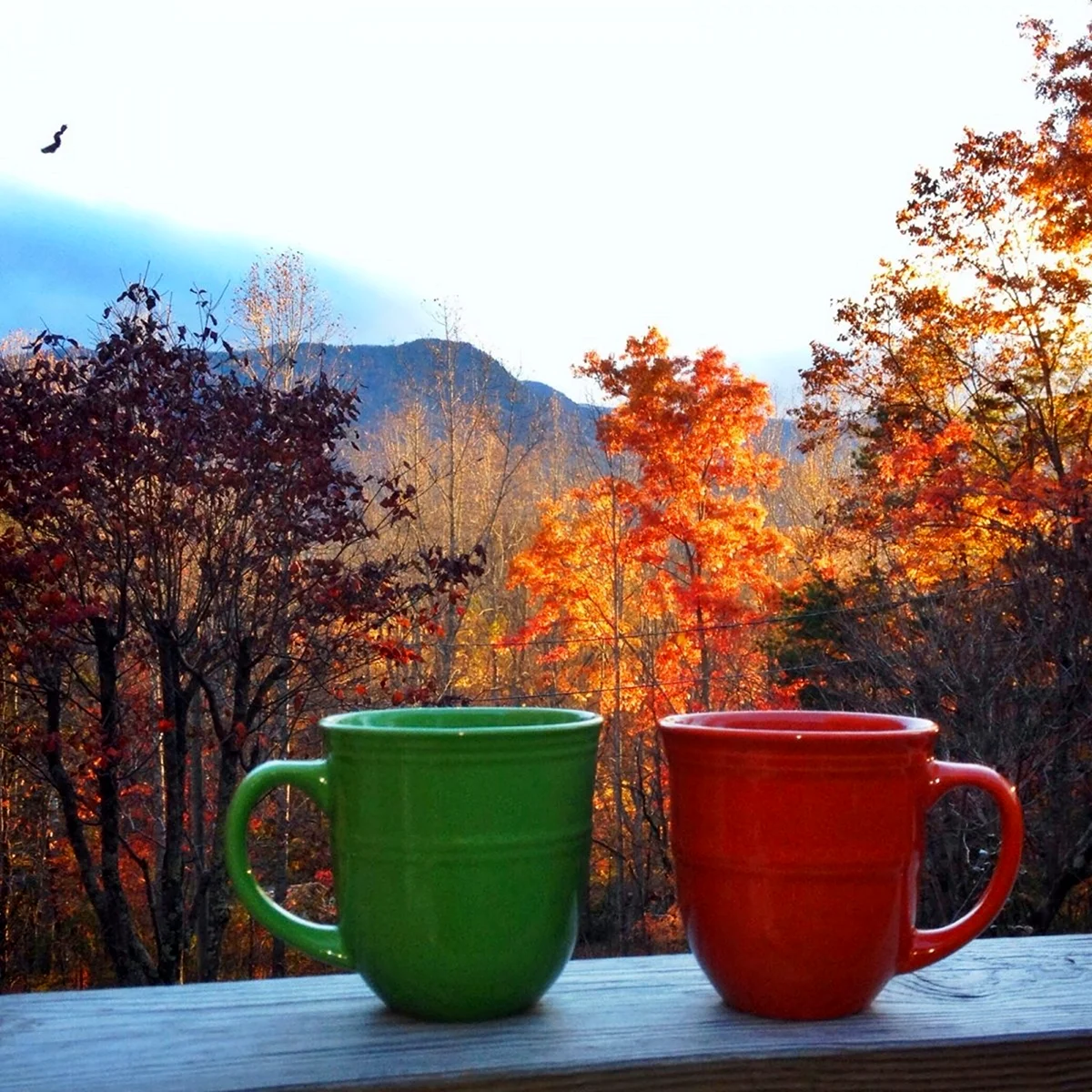 Осенний чай