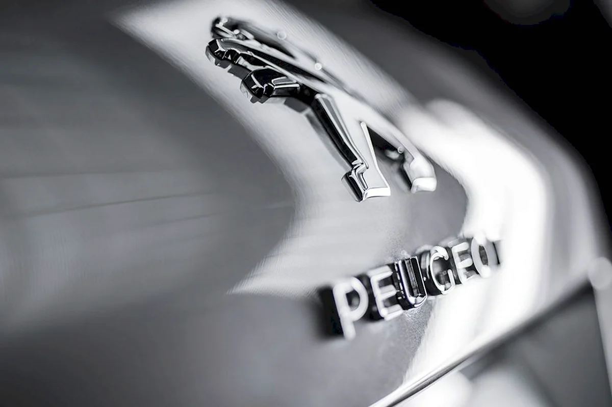 Peugeot 308 logo
