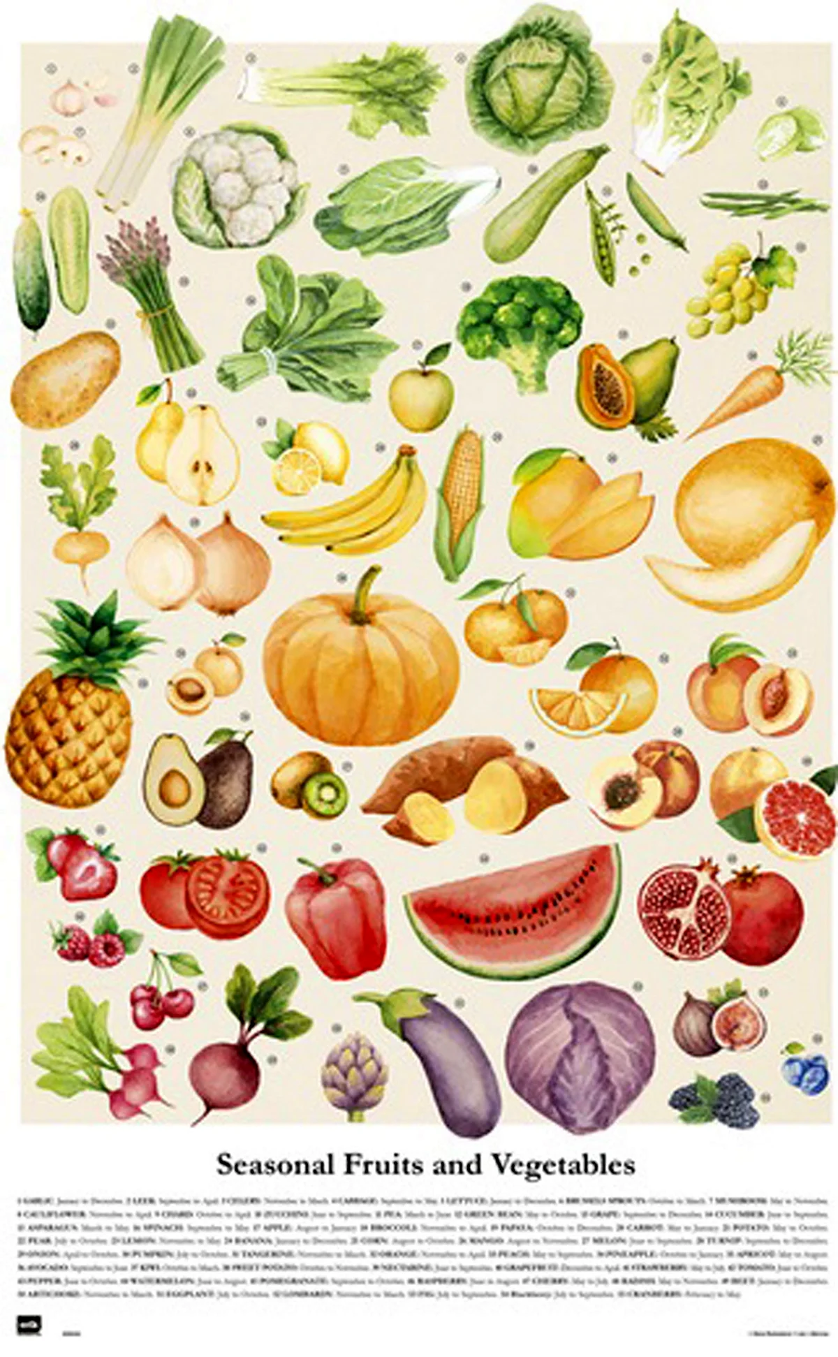 Плакат овощи и фрукты круглые