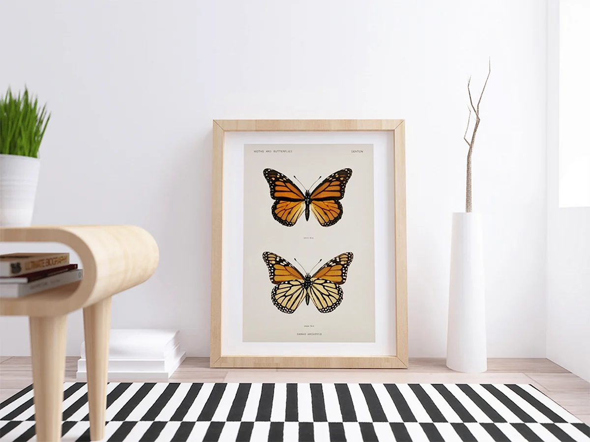 Постеры с бабочками для интерьера