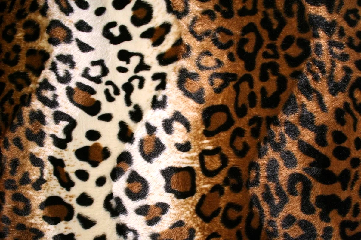 Принт Ягуар гепард леопард