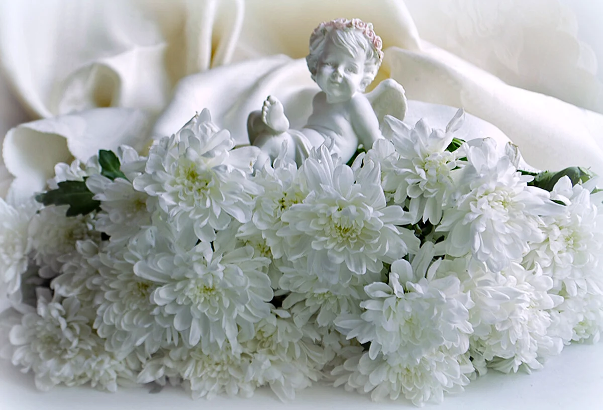 С днём рождения белые хризантемы открытка