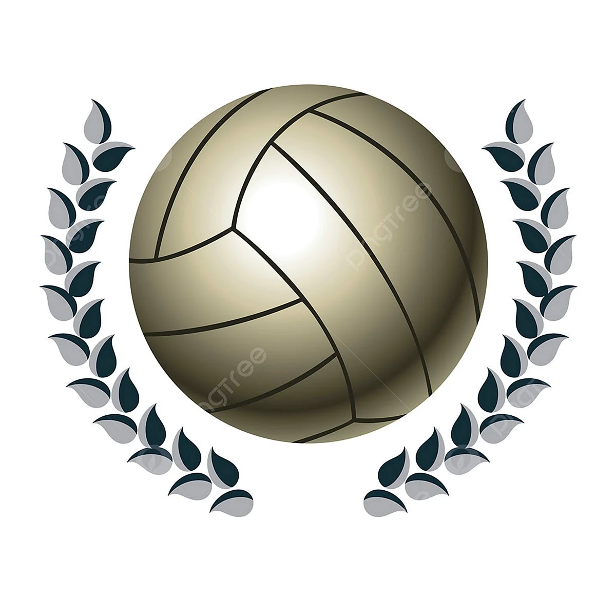 Серебряный мяч волейбол