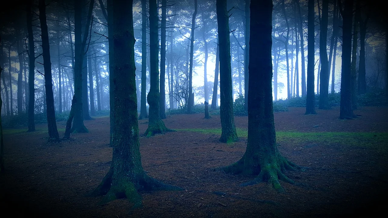 Страшный лес