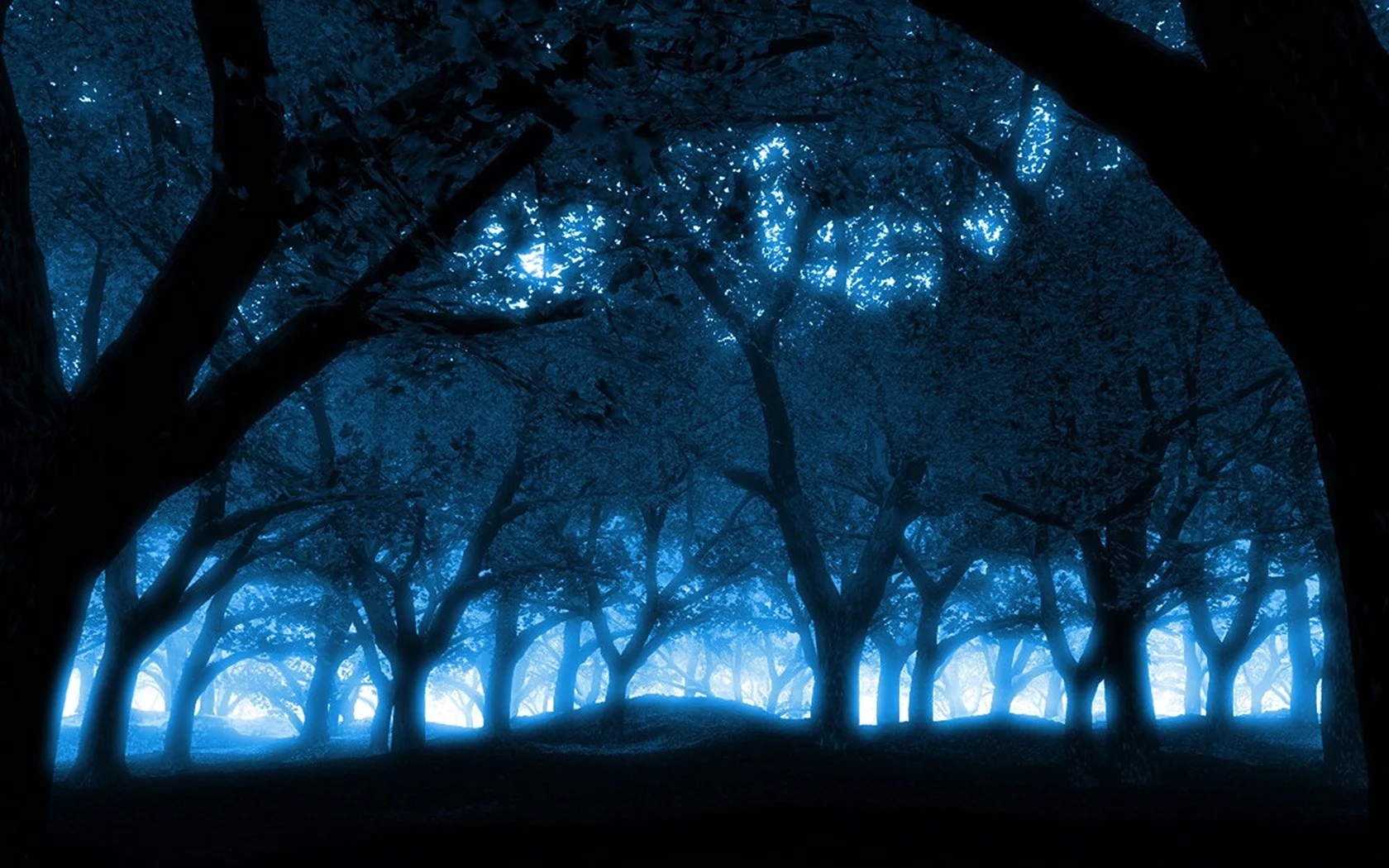 Темно синий лес