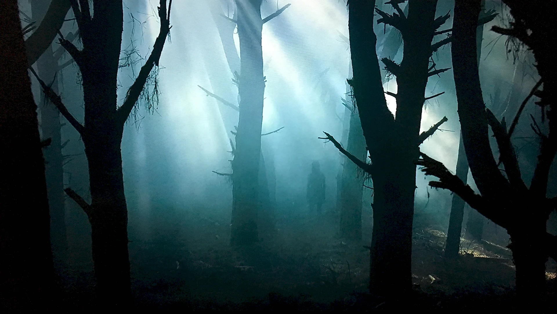 Темный лес фильм ужасов