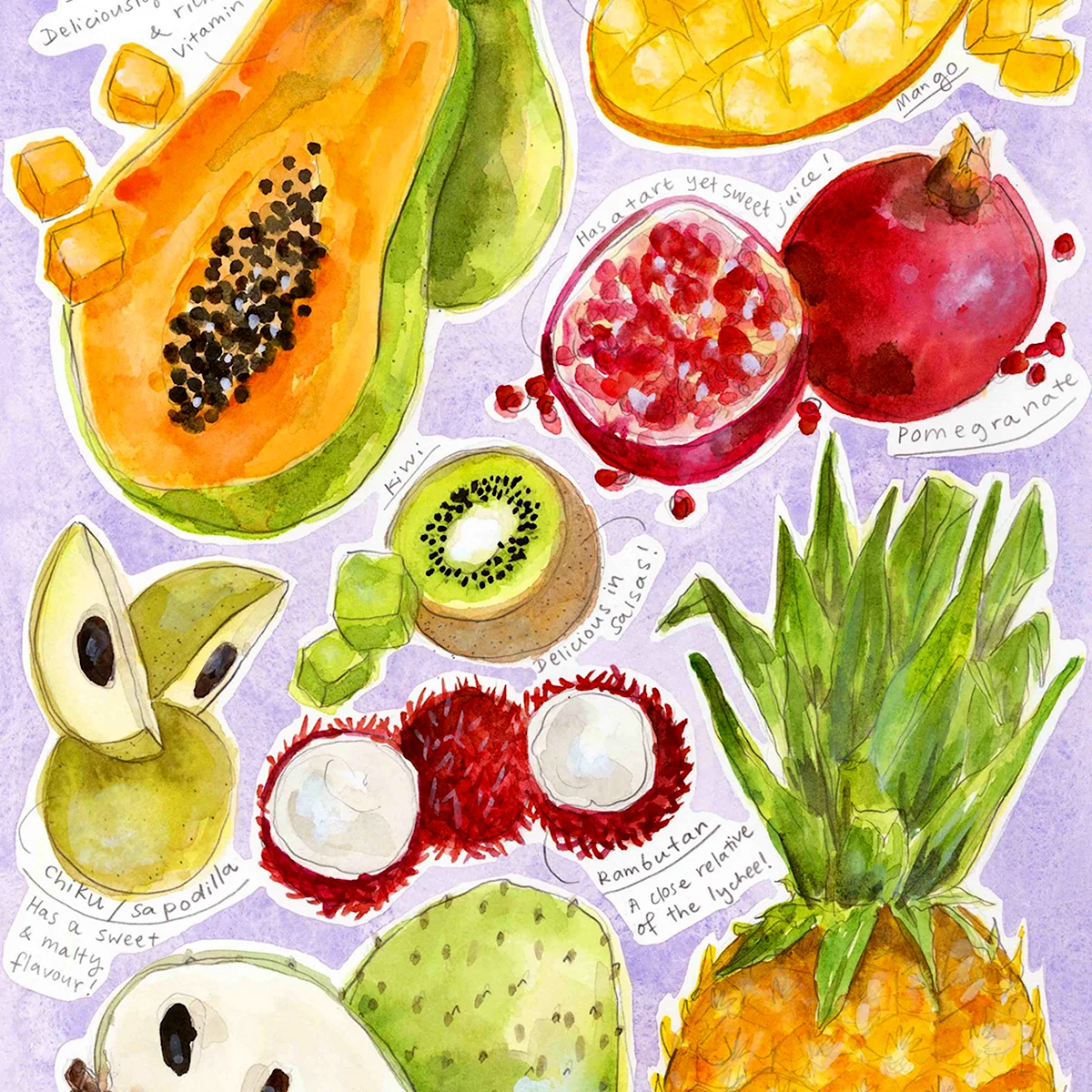 Тропические фрукты рисунок