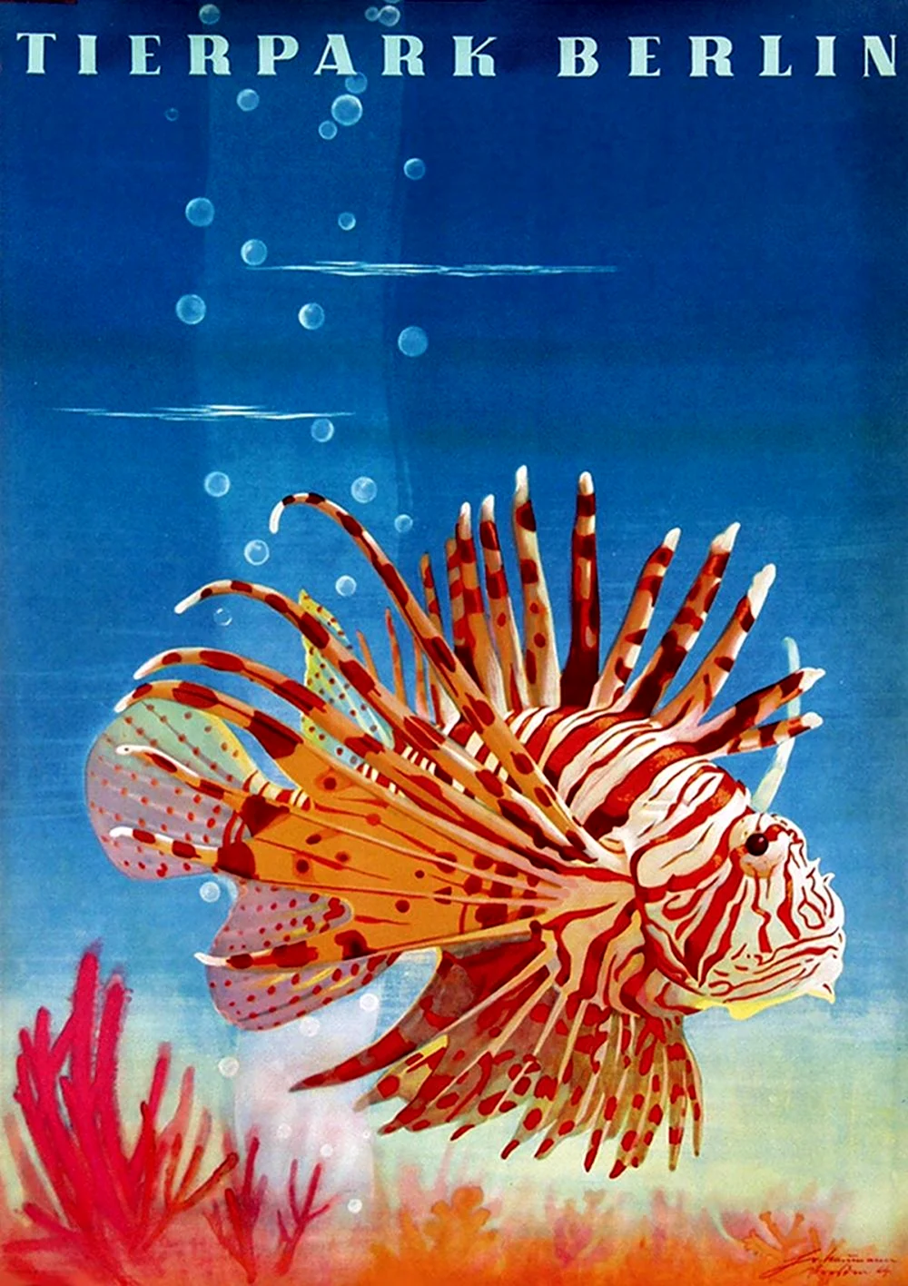 Тропические рыбы плакат