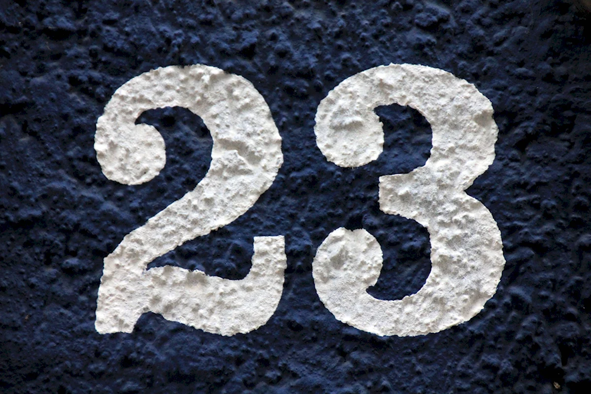 Цифра 23