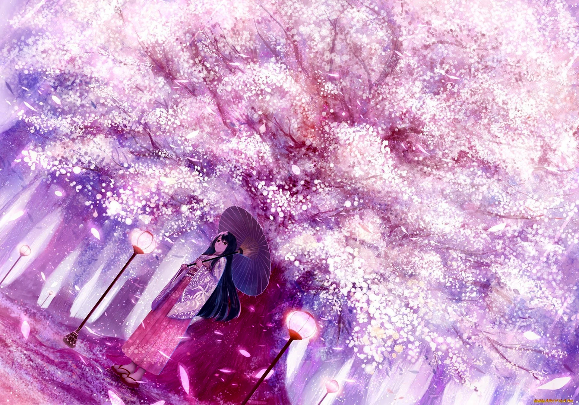 Цветение Сакуры аниме