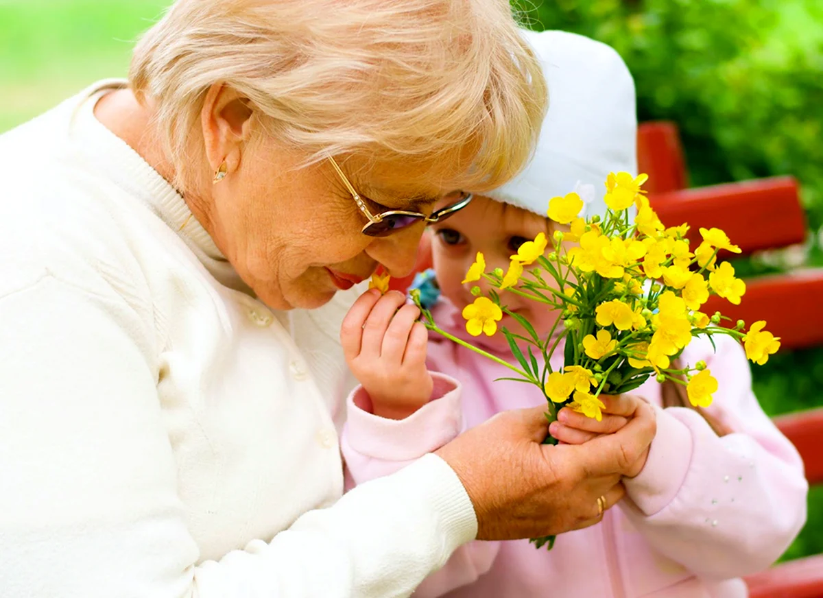 Цветы для пожилых людей