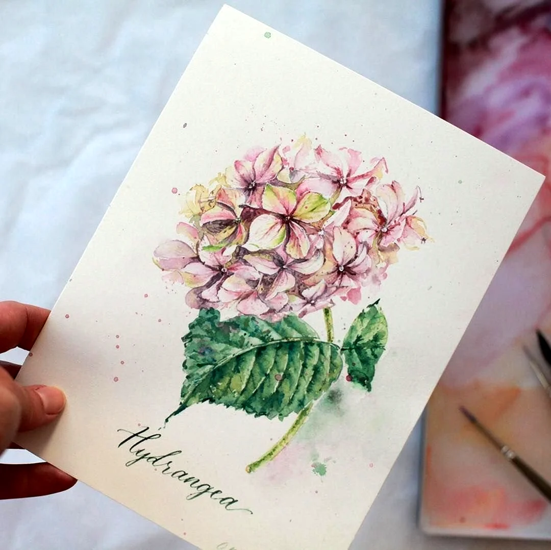 Цветы скетч открытка