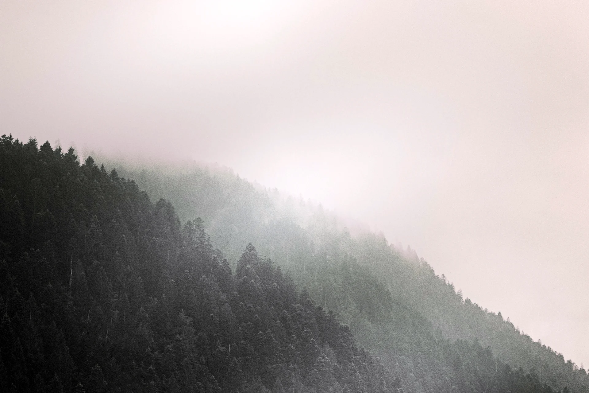 Туманный лес Таганай
