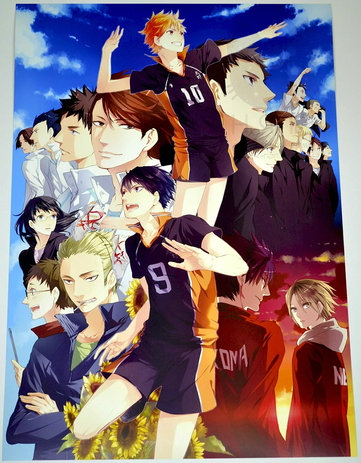 Волейбол аниме poster