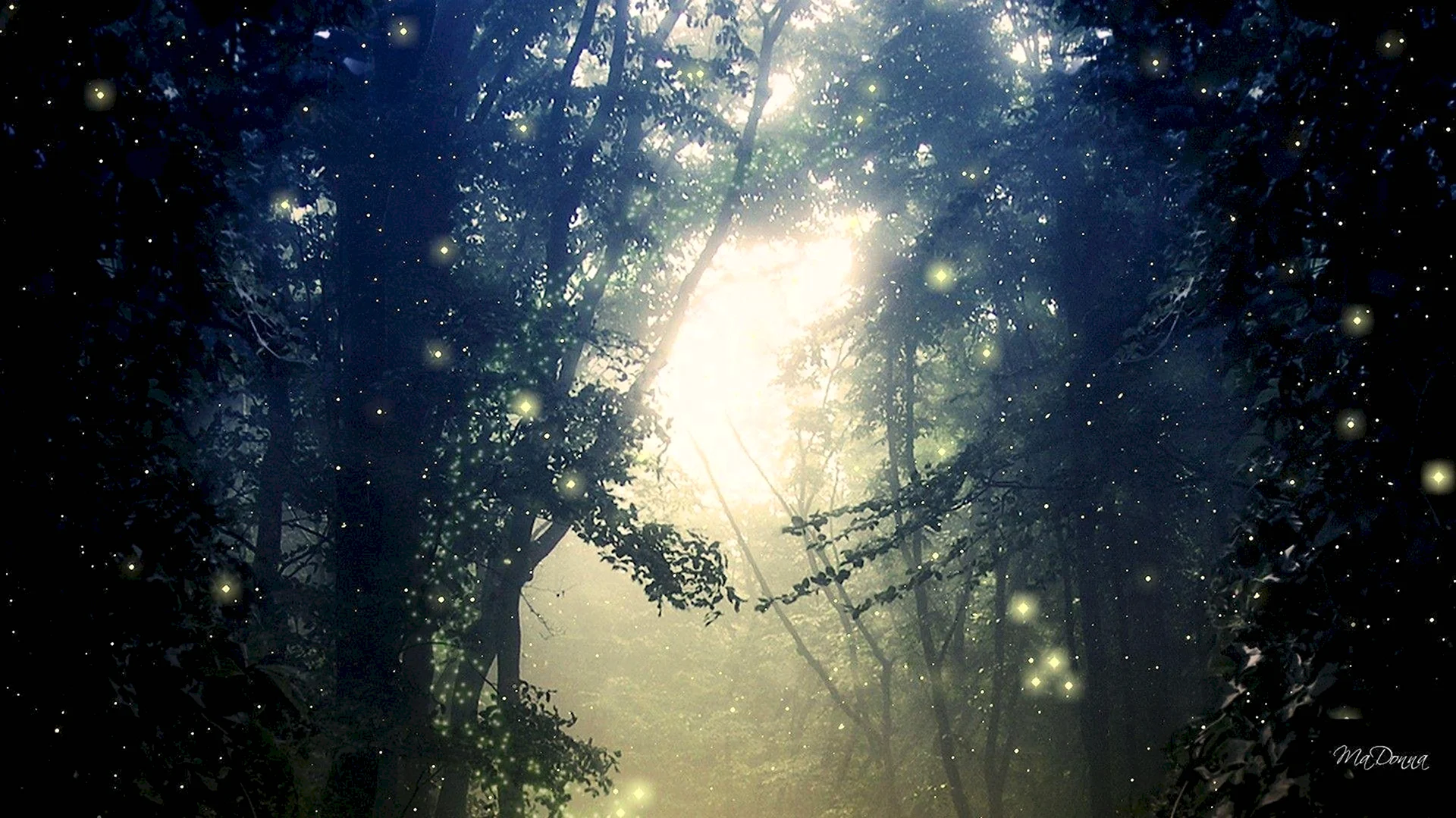 Волшебный лес со светлячками