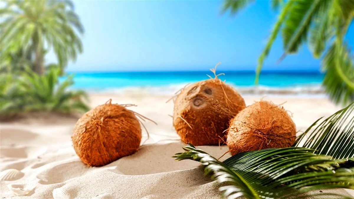 Всемирный день кокоса 2 сентября